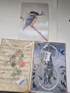 Tin Sign Lot / Phantom of The Opera / Circa Survive / Kingfisher / 8"x12" / New